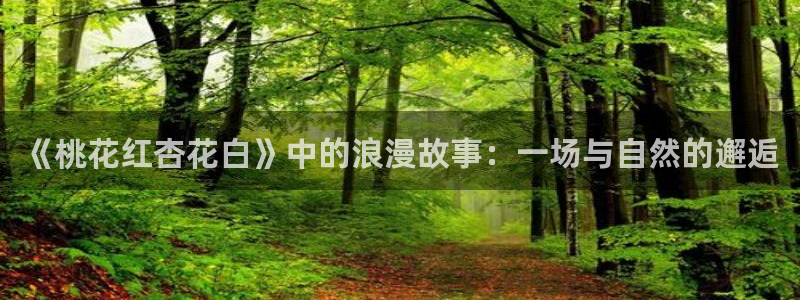 午马电影电视剧在线观看