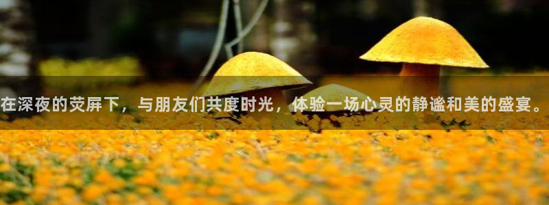 午马电影追剧就上午马电影