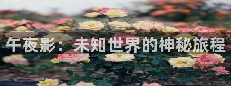 星空影视在线观
