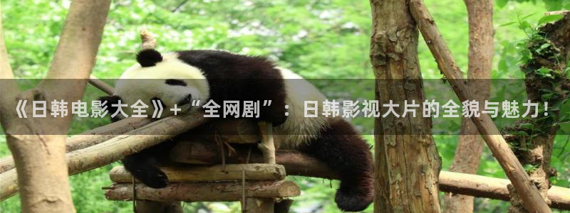 雁回时在线观看午马电影
