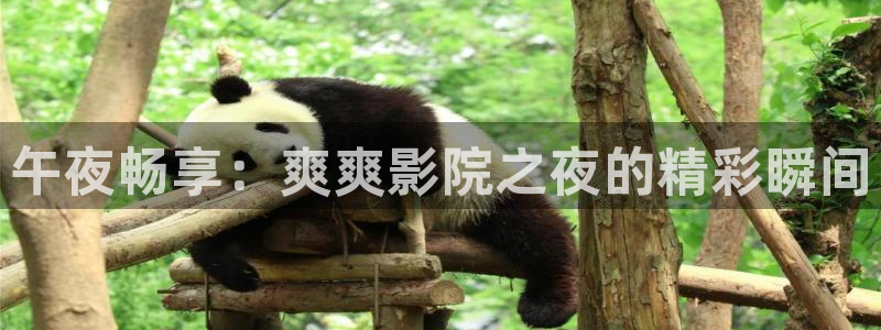 铜仁星空影城今日影讯