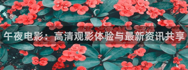 午马电影今日影讯