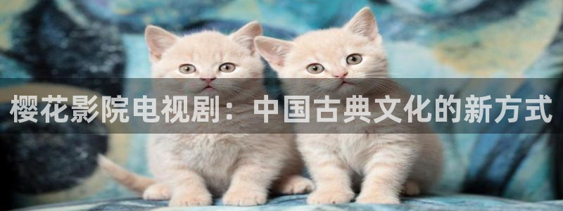 宿州午马电影今日影讯