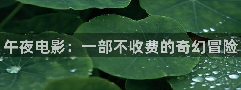 星空影视正版