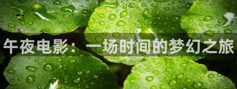 星空影视 在线播放
