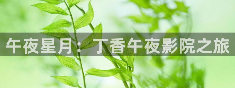 午马电影电影在线观看免费观看