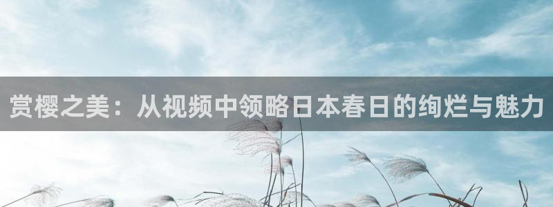 星空影视在线观看电视剧免费