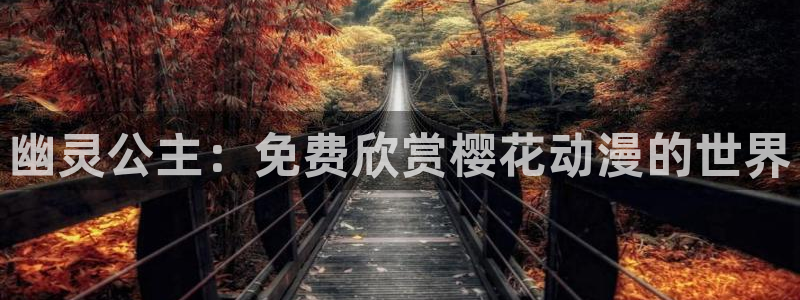 午马电影在线观看全集免费2026