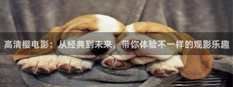 午马电影最新电视剧免费播放