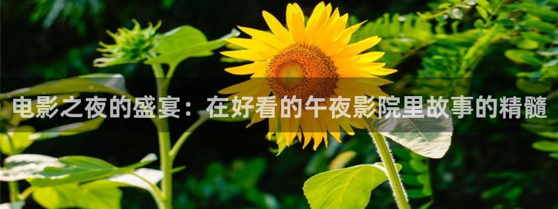 午马电影在线观看免费观看电视