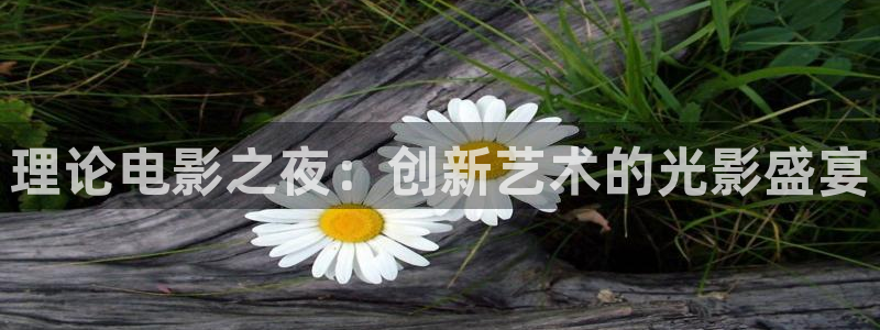 午马电影伦理