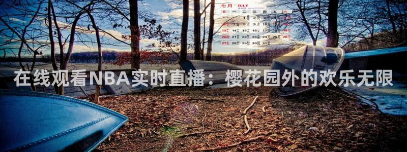 免费观看电视剧星空影视