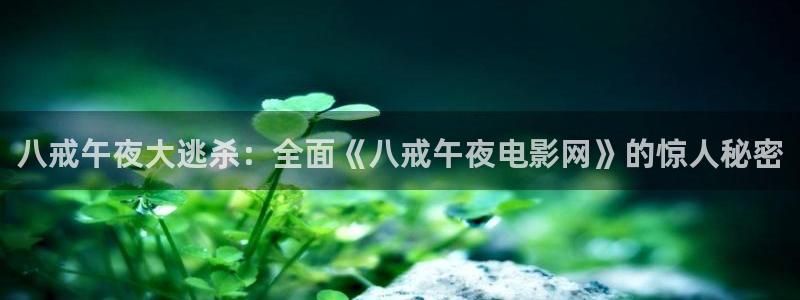 星空影视下载最新版