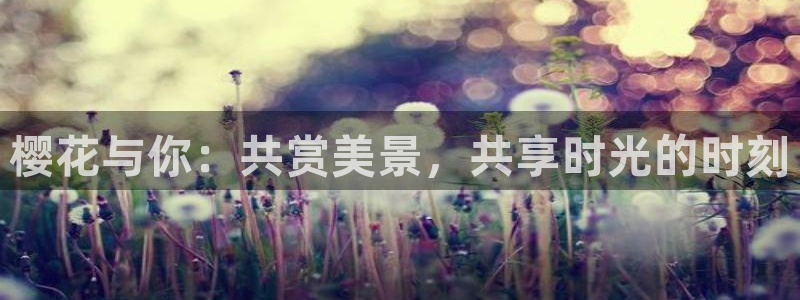 午马电影 在线播放