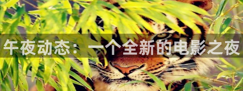星空影视免费下载安装