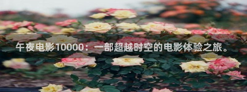 在线观看星空传媒