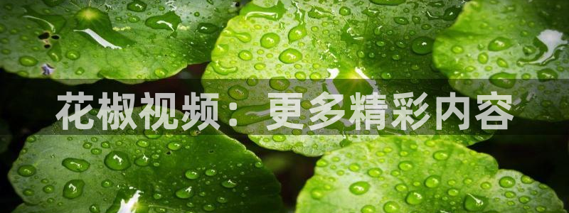 关于星空的图片