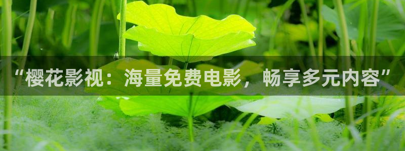 影视厅星空顶
