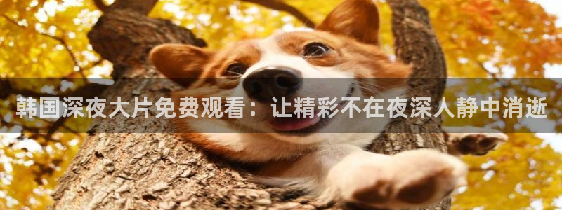 星空无痕mv高清在线观看免费播放