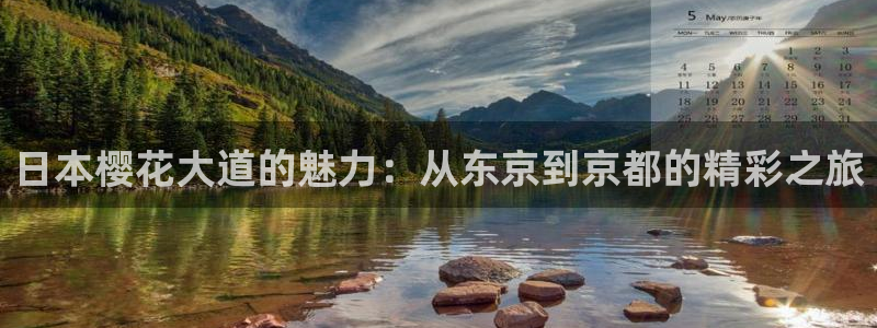 午马电影大全在线观看免费观看