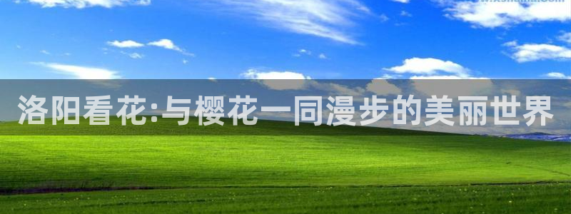 影院星空顶